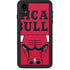 NBA Chicago Bulls Large Logo iPhone Cases