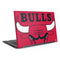 NBA Chicago Bulls Large Logo Dell Latitude Skin