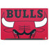 NBA Chicago Bulls Large Logo Dell Latitude Skin