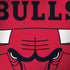 NBA Chicago Bulls Large Logo Dell Latitude Skin