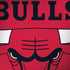 NBA Chicago Bulls Large Logo MacBook Skins