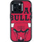 NBA Chicago Bulls Large Logo Otterbox Defender iPhone Skin