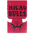NBA Chicago Bulls Large Logo PS5 Slim Digital Edition Console Skin