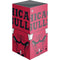 NBA Chicago Bulls Large Logo XBox Series X Digital Edition Console Skin