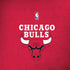 NBA Chicago Bulls Red Distressed Amazon Echo Skin