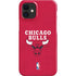 NBA Chicago Bulls Red Distressed iPhone 12 Mini Lite Case