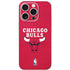NBA Chicago Bulls Red Distressed iPhone 16 Pro Skin