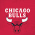 NBA Chicago Bulls Red Distressed iPhone X Pro Case