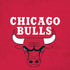 NBA Chicago Bulls Red Distressed iPhone XR Pro Case