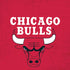 NBA Chicago Bulls Red Distressed iPhone XS Skin