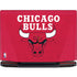 NBA Chicago Bulls Red Distressed Legion Y720 Skin