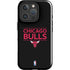 NBA Chicago Bulls Standard - Black iPhone 16 Pro Impact Case