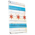 Chicago Flag Light Wood Apple iPad Skin