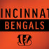 NFL Cincinnati Bengals Orange Performance Series Dell Latitude Skin