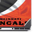 NFL Cincinnati Bengals Dell Precision Skin