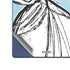 Disney Cinderella Sketch Art Shoe Will Fit Galaxy Z Fold6 Skin