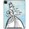Disney Cinderella Sketch Art Shoe Will Fit iPad Cases