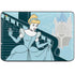 Disney Cinderella Stroke of Midnight HP Chromebook Skin