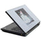 Disney Cinderella Will I Meet My Prince Lenovo T420 Skin