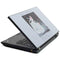Disney Cinderella Will I Meet My Prince T440s Skin