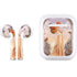 Citrine by Rachel Anderson Apple AirPods Skin