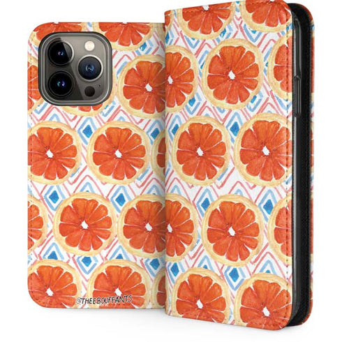 Bouffants and Broken Hearts Citrus Geo iPhone 15 Pro Max Folio Case