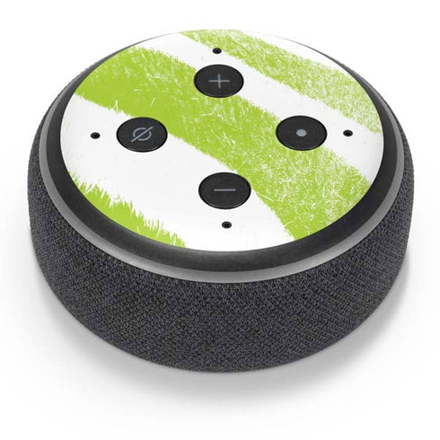 Citrus Zebra Animal Print Color Pop Amazon Echo Dot Skin