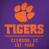 Clemson University Tigers Est 1889 Dell Latitude Skin