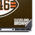 NFL Cleveland Browns Alternate Distressed Dell Precision Skin
