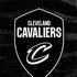 NBA Cleveland Cavaliers Black Animal Print Otterbox Commuter Galaxy Skin