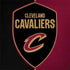 NBA Cleveland Cavaliers Canvas Dell Inspiron Skin