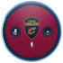 NBA Cleveland Cavaliers Distressed Amazon Echo Skin
