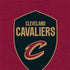 NBA Cleveland Cavaliers Distressed Otterbox Commuter Galaxy Skin