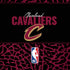 NBA Cleveland Cavaliers Elephant Print Amazon Echo Skin
