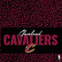 NBA Cleveland Cavaliers Elephant Print PS4 Console and Controller Bundle Skin