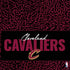NBA Cleveland Cavaliers Elephant Print PS4 Console Skin
