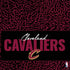 NBA Cleveland Cavaliers Elephant Print PS4 Pro Console Skin
