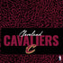 NBA Cleveland Cavaliers Elephant Print PS4 Slim Skin
