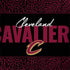 NBA Cleveland Cavaliers Elephant Print Surface Book 2 13.5in Skin
