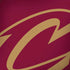 NBA Cleveland Cavaliers Large Logo Moto G6 Skin