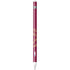 NBA Cleveland Cavaliers Standard - Maroon Apple Pencil (1st Gen, 2017) Skin