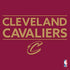 NBA Cleveland Cavaliers Standard - Maroon PS4 Console and Controller Bundle Skin