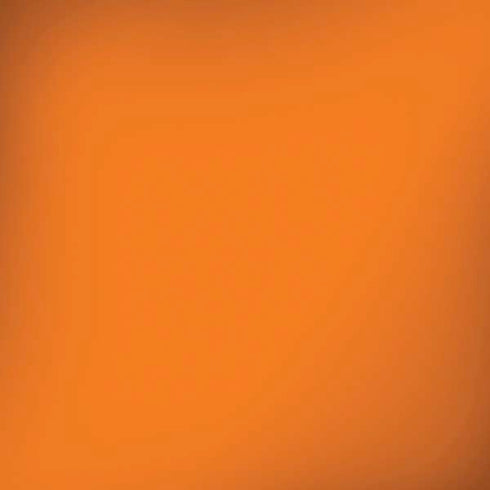 Color Pop Florida Orange Amazon Echo Skin