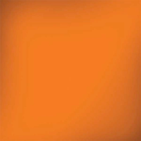 Color Pop Florida Orange Dell Inspiron Skin