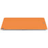 Color Pop Florida Orange Apple iPad Air Skin