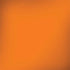 Color Pop Florida Orange Dell Latitude Skin