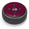NHL Colorado Avalanche Distressed Amazon Echo Dot Skin
