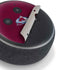 NHL Colorado Avalanche Distressed Amazon Echo Dot Skin
