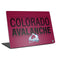 NHL Colorado Avalanche Lineup Laptop Skins