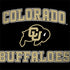 University of Colorado CU Logo on Gold Dell Latitude Skin